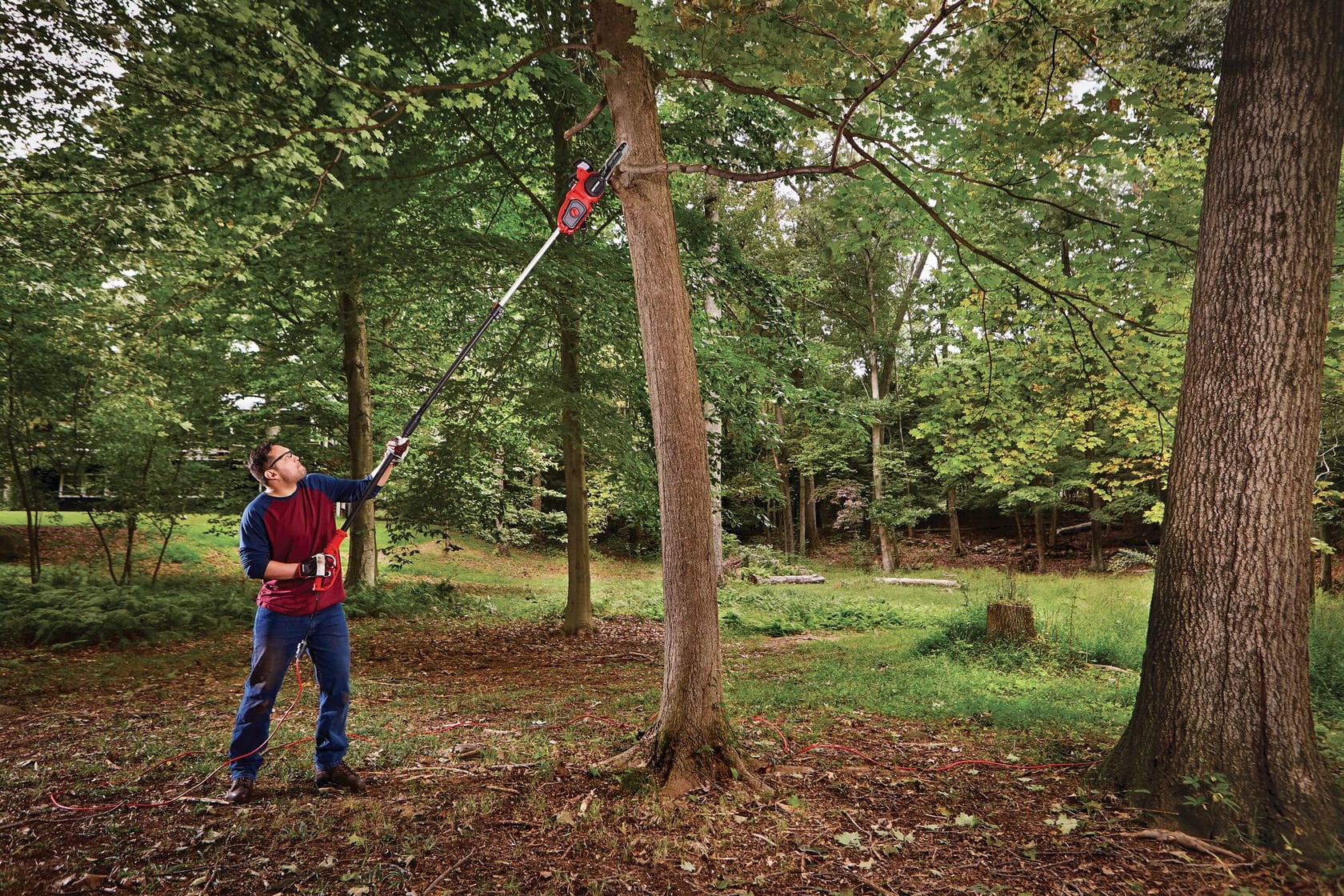 Photo of Craftsman pole saw CMECSP610 trimming tree branches outdoors in a wooded area.
