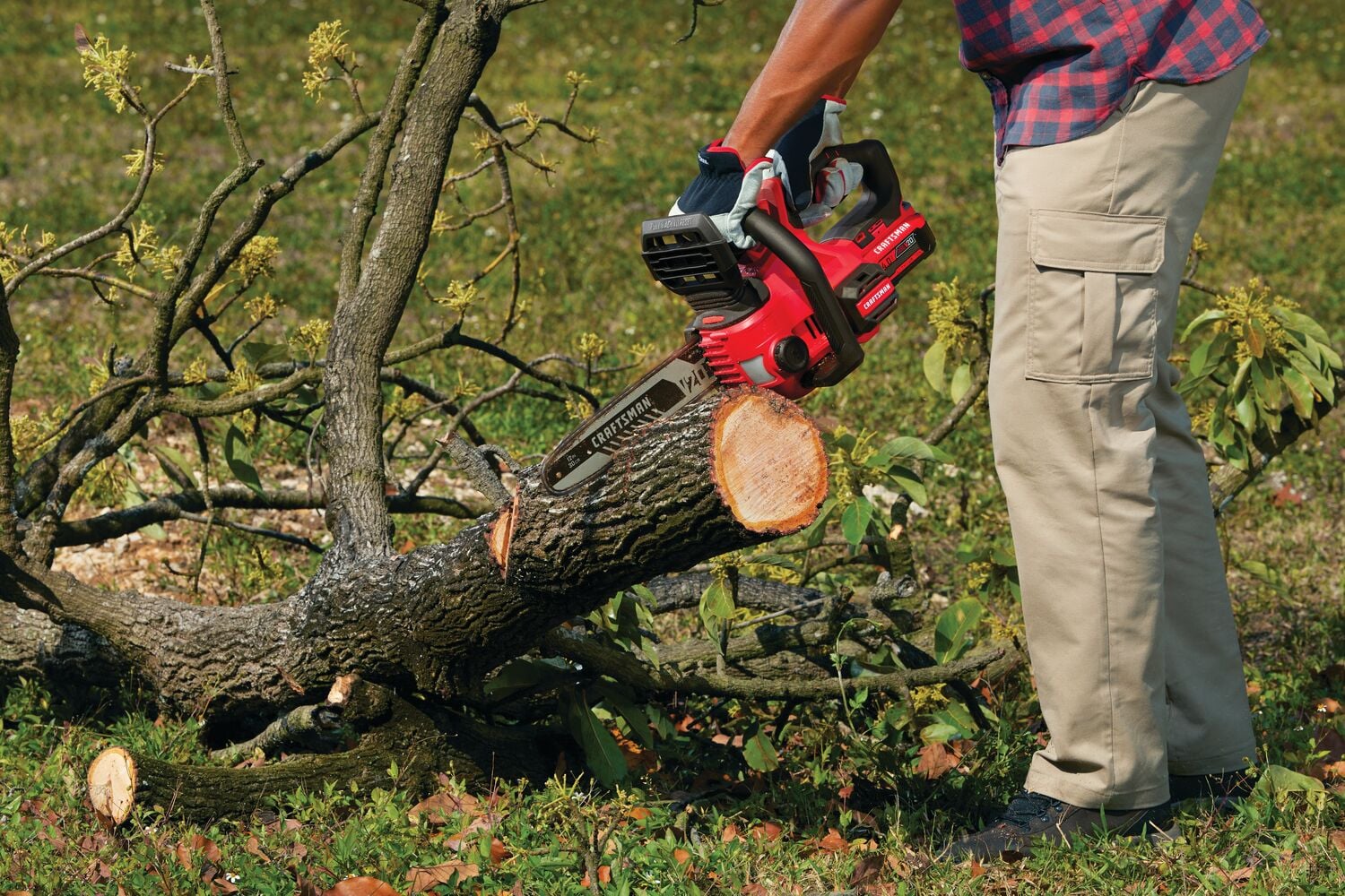 View of CRAFTSMAN Chain Saws  being used by consumer