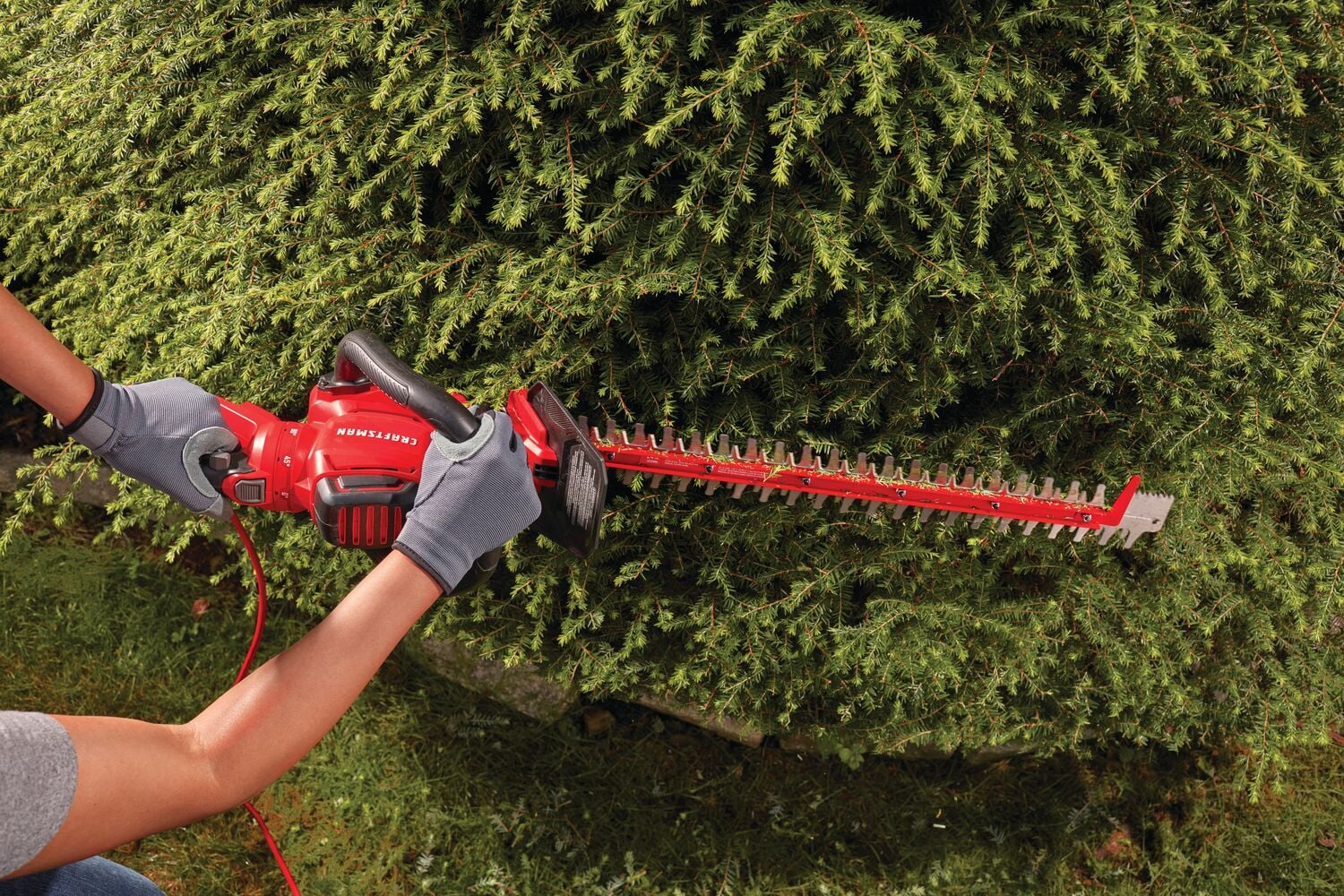 View of CRAFTSMAN Hedge Trimmers  being used by consumer