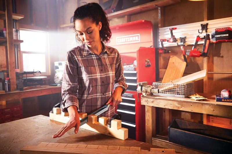 View of CRAFTSMAN Files & Rasps  being used by consumer