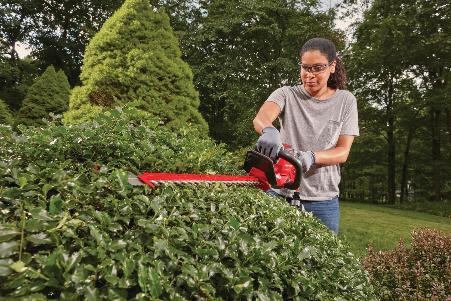 View of CRAFTSMAN Hedge Trimmers  being used by consumer