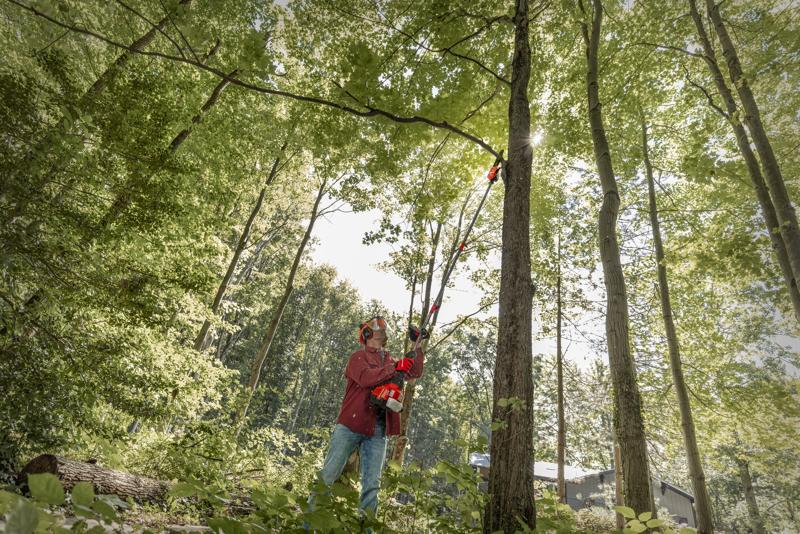 CRAFTSMAN Multi-Tool Attachment Pole Chainsaw trimming limbs on tree