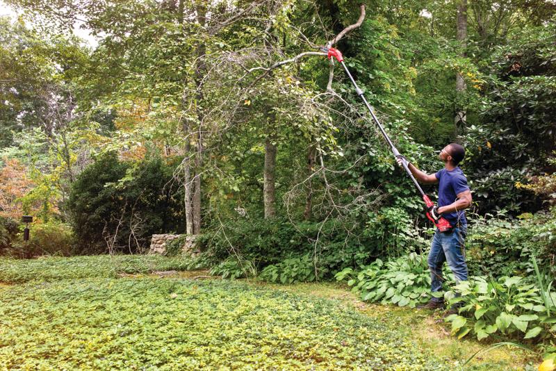 View of CRAFTSMAN Pole Saws  being used by consumer