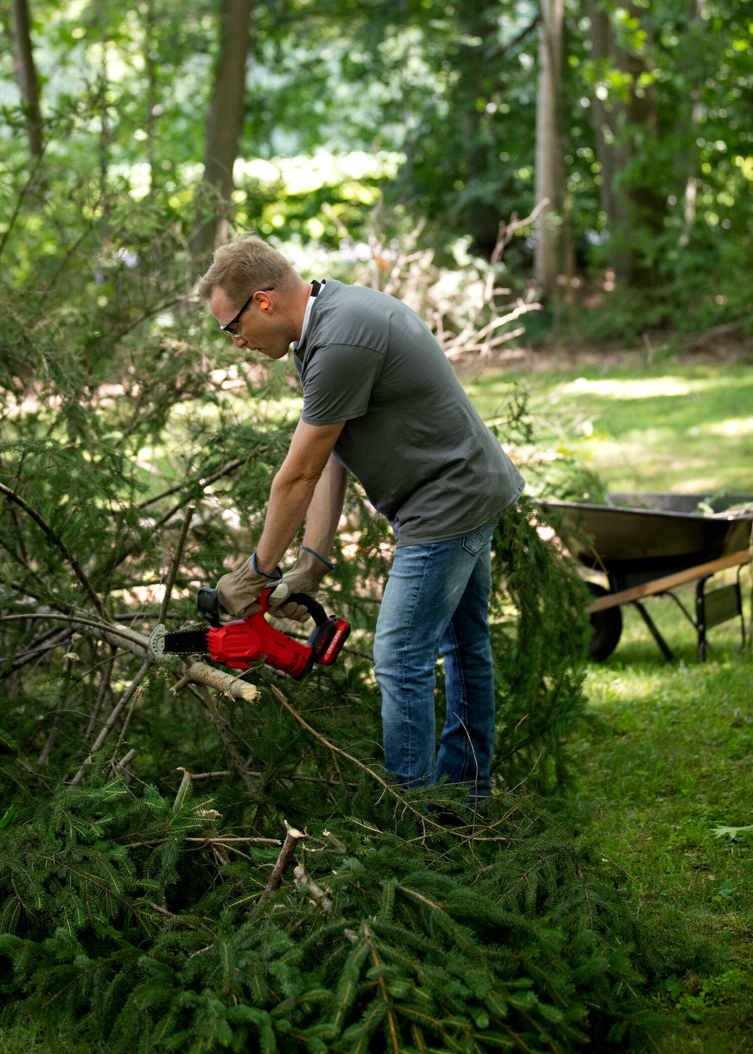 CRAFTSMAN V20 Pruning Chainsaw cutting a fallen tree in a wooded area