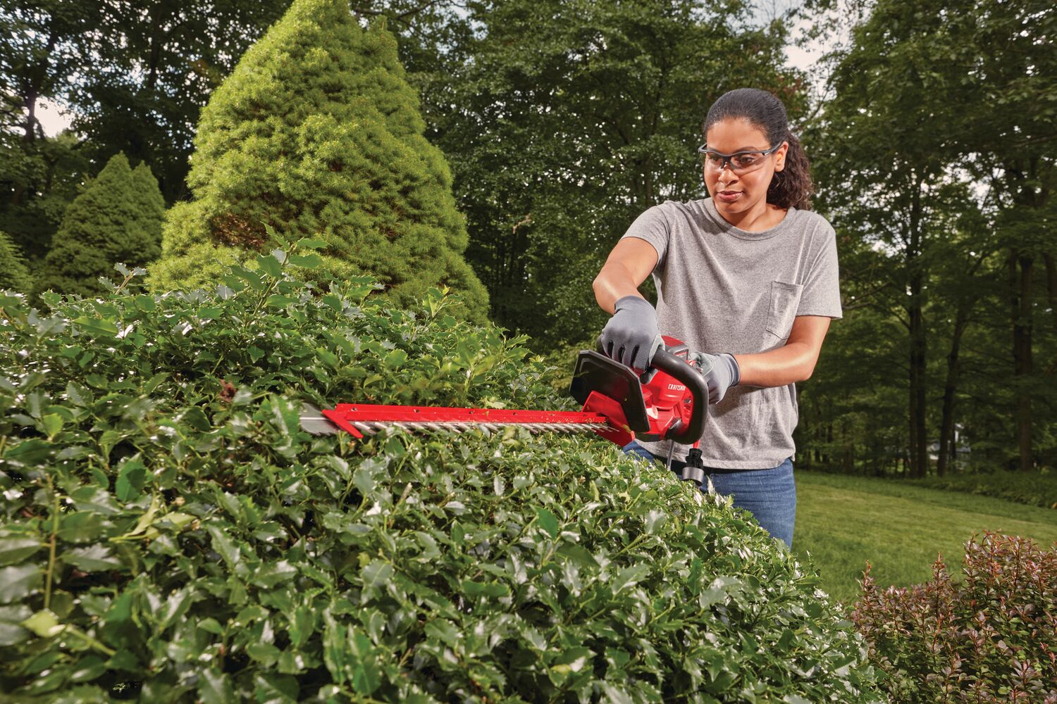 View of CRAFTSMAN Hedge Trimmers being used by consumer