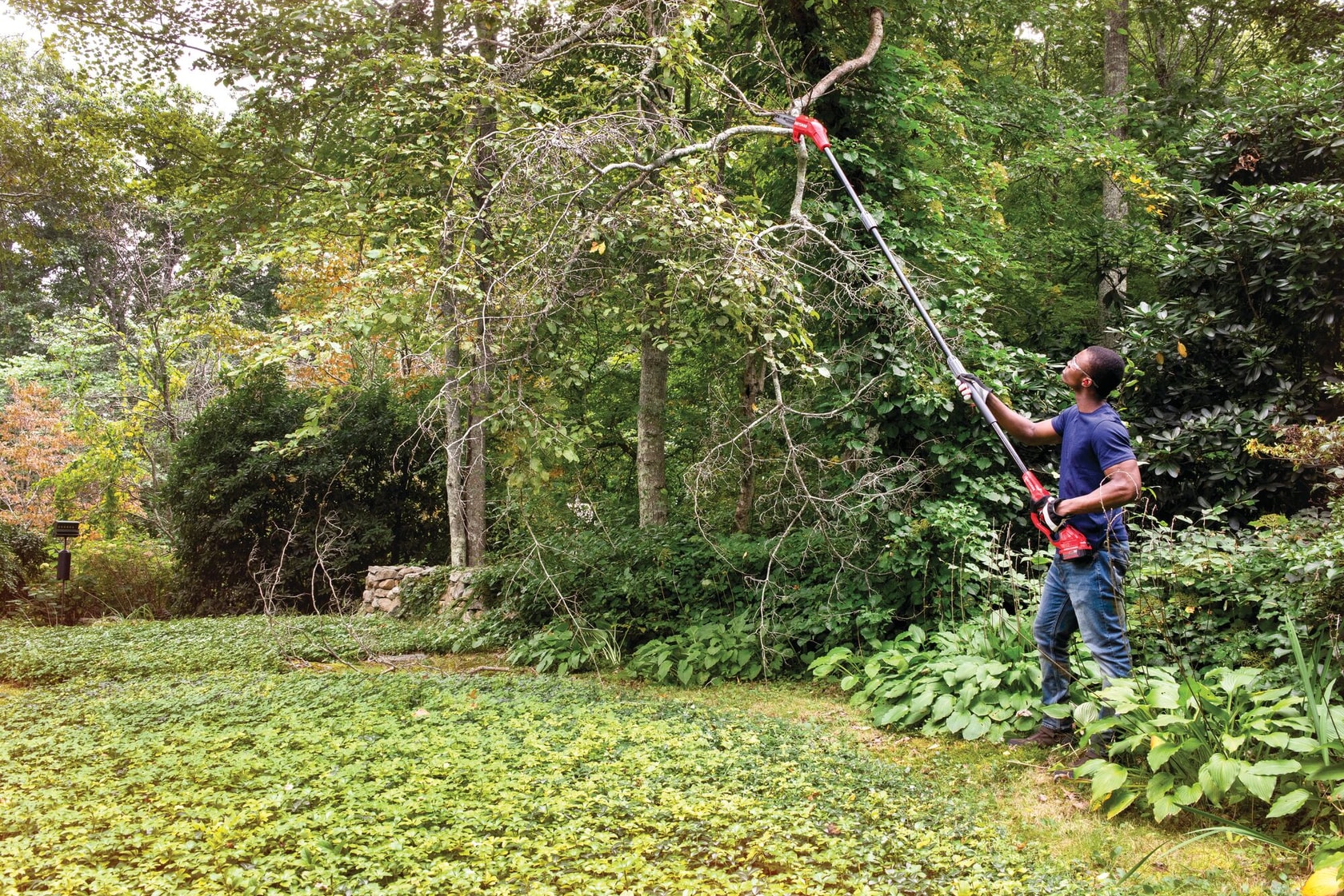 Cordless pole chainsaw kit 4 amp hour being used for cutting high tree branches by person.