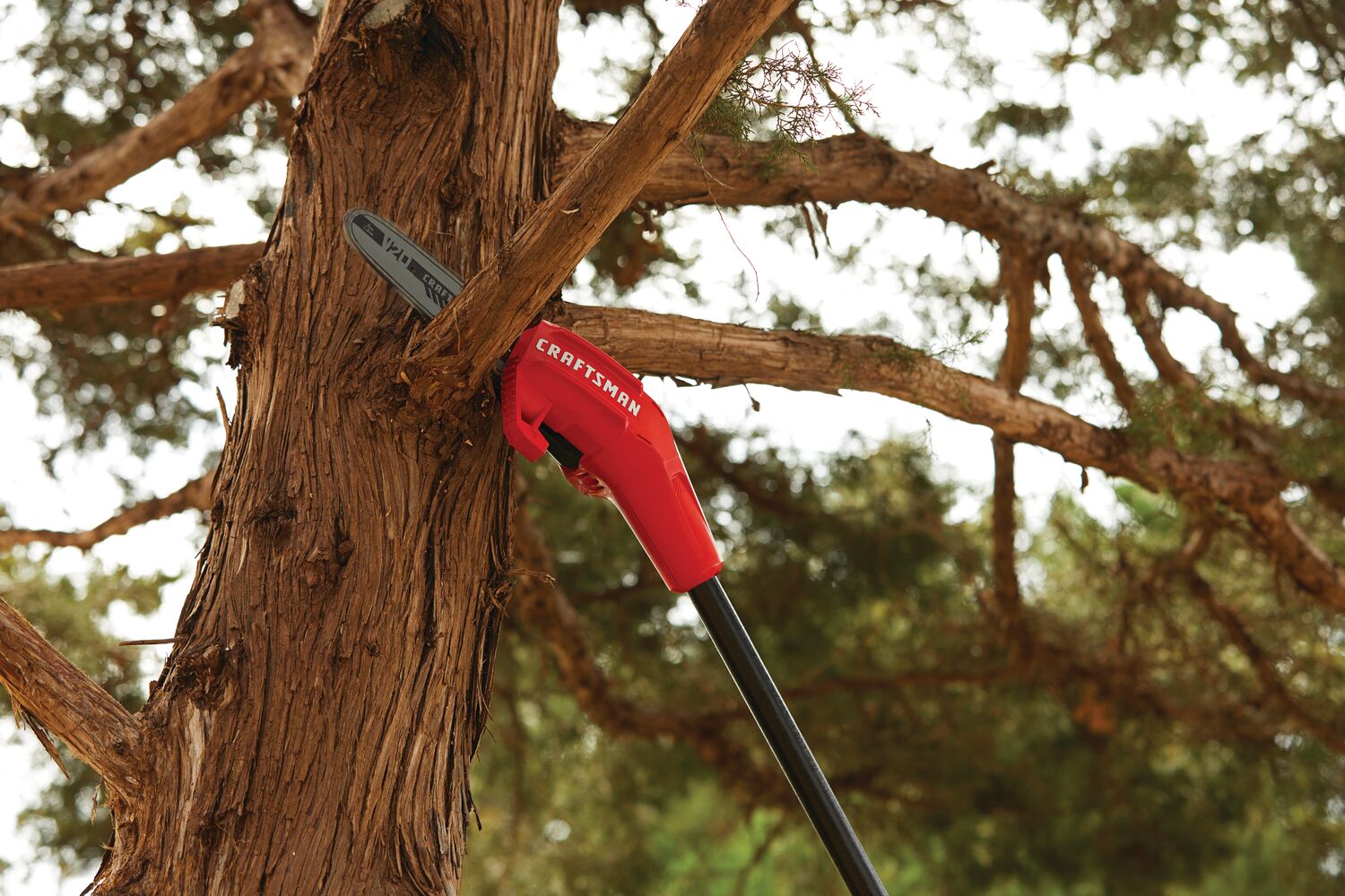 Up to 14 foot reach feature of cordless pole chainsaw kit 4 amp hour.